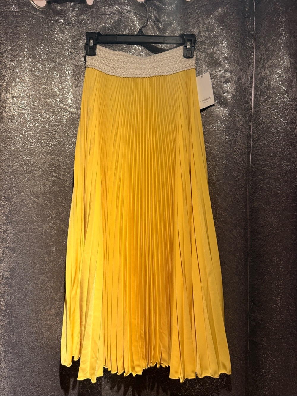 LoydFord pleated Maxi Skirt
